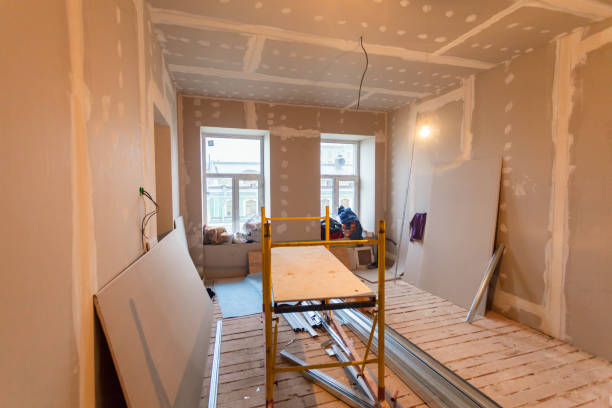 Best Drywall Installation  in Mount Olive, IL